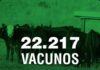 Plaza Rural termina el otoño con otra gran oferta: rematará 22.217 vacunos los días 19, 20 y 21 de junio.