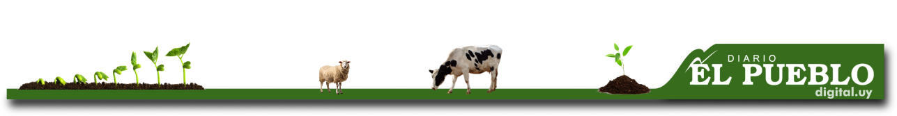 header Cabezal Agro 2024