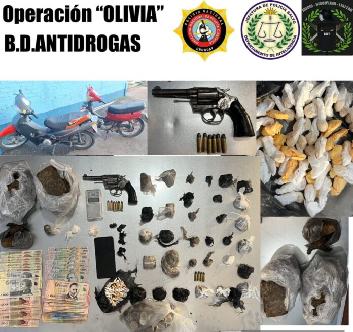 Operacion Olivia