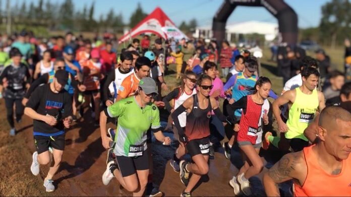 Salto Run Sube y Baja