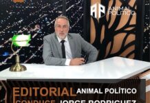 Animal Político – 3/Set/2024 Jorge Rodriguez - Animal Político