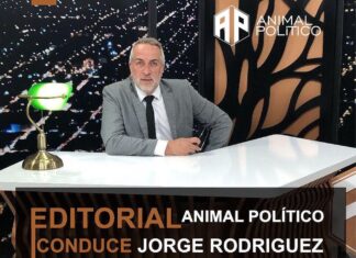 Animal Político – 17/Set/2024 Jorge Rodriguez - Animal Político