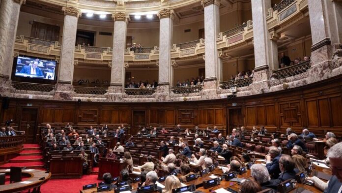 Cámara de Diputados - Ley de Maedios / Agosto 2024