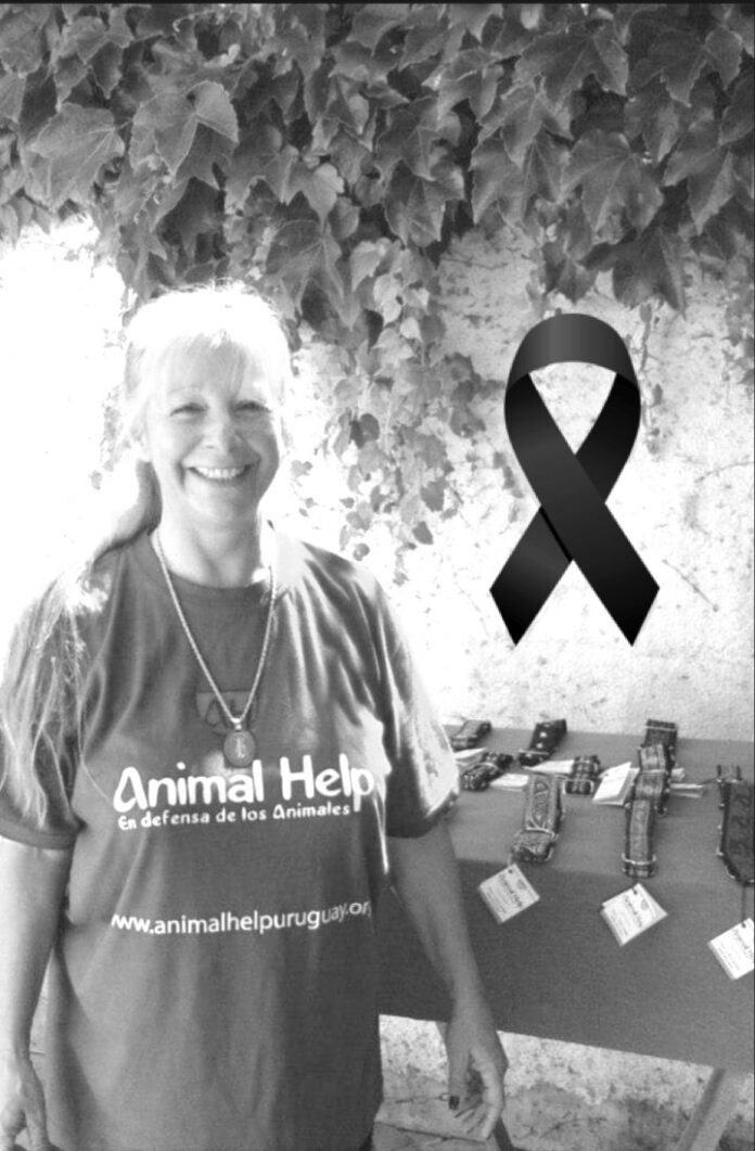 Mary Brown - ONG Animal Help Uruguay