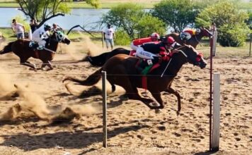 TURF - HIPICO DE LAGO