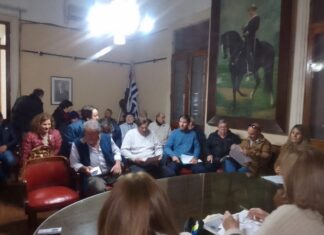 Desafíos y Preocupaciones en la Instalación de Planta de Compostaje en Nueva Hespérides