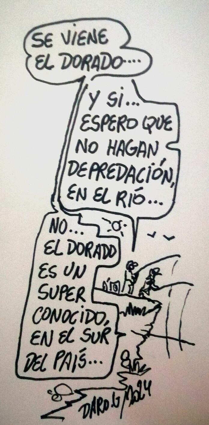 DARO, Viernes 16 de Agosto de 2024