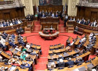 Brecha de Género en la Política Salteña: Un Análisis