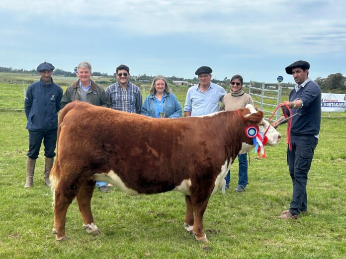 Gran Campeón Hembra de Ñu Porá.