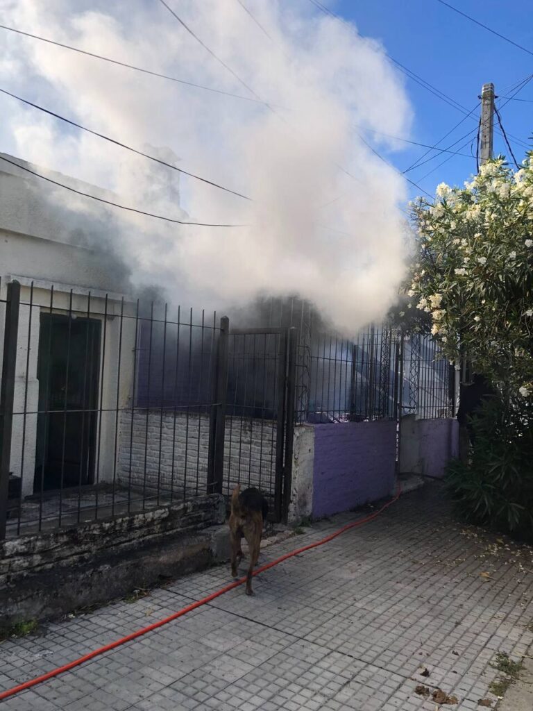 Incendio en Michellini al 500