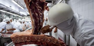 Pablo La Rosa- Adhocfotos