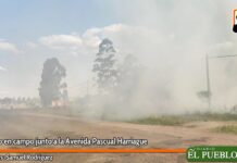 Incendio en campo junto a la Avenida Pascual Harriague