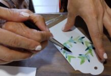 My Life, un espacio diferente para el cuidado del adulto mayor My Life, Un espacio distinto para el Adulto Mayor