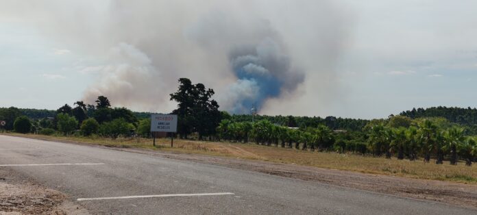 incendio en concordia