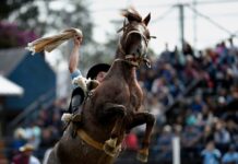 Suspensión temporal de la reglamentación del INBA sobre festividades criollas: un paso hacia el diálogo