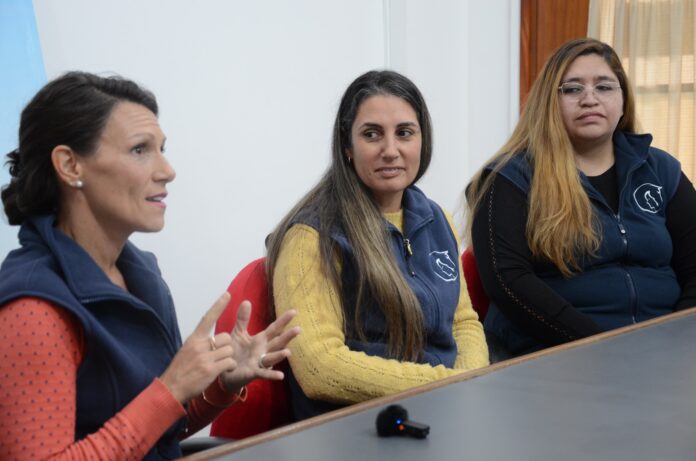 Equinoterapia