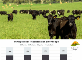 La cría representa el 25% del novillo tipo de INAC en abril