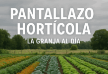 ¨El seguro especial por desempleo del sector citrícola, para nosotros es muy importante¨