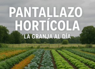 ¨El seguro especial por desempleo del sector citrícola, para nosotros es muy importante¨