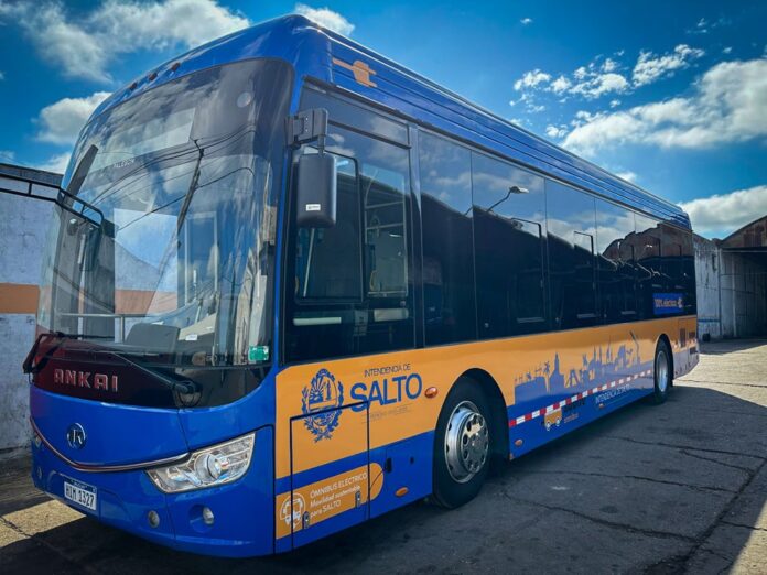 ómnibus