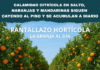 CALAMIDAD CITRÍCOLA en Salto, naranjas y mandarinas siguen cayendo al piso y se acumulan a diario.