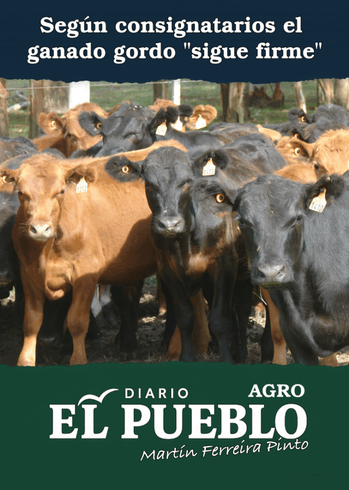 SEGUN CONSIGNATARIOS EL GANADO GORDO CONTINÚA FIRME