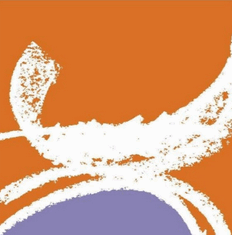 Junta Departamental de Salto convovca a sesión extraordinaria por llamado a Sala al Intendente Albisu este miércoles