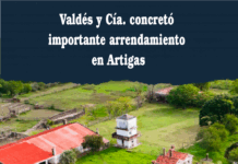 Valdés y Cía. concretó importante arrendamiento en Artigas