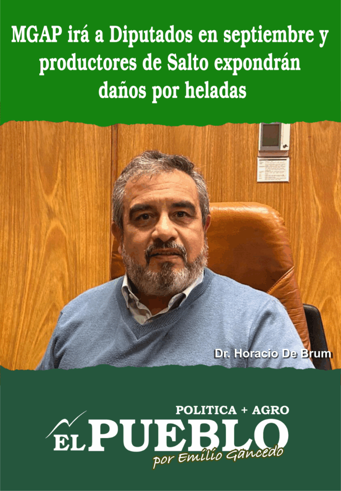 MGAP irá a Diputados en septiembre y productores de Salto expondrán daños por heladas