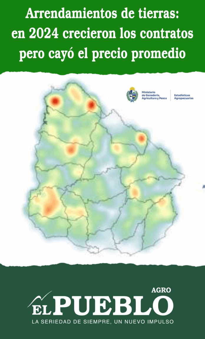 Arrendamientos de tierras: en 2024 crecieron los contratos pero cayó el precio promedio