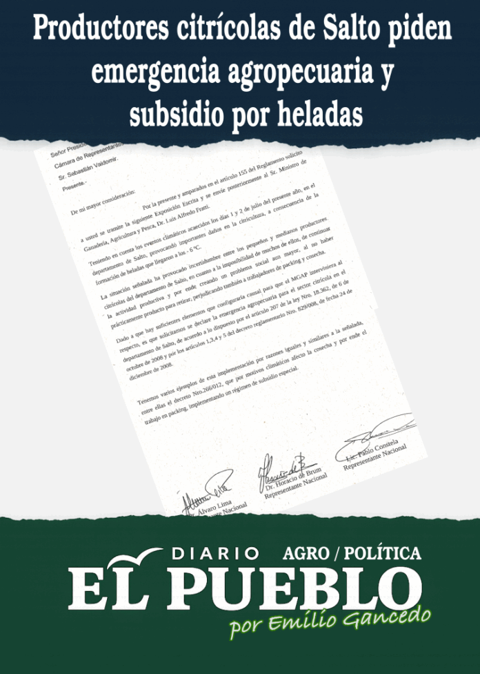 Productores citrícolas de Salto piden emergencia agropecuaria y subsidio por heladas