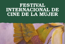 FESTIVAL INTERNACIONAL DE CINE DE LA MUJER