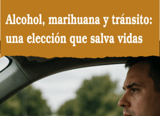 EL ALCOHOL Y LA MARIHUANA Y SUS EFECTOS EN LA CONDUCCION EL ALCOHOL Y LA MARIHUANA Y SUS EFECTOS EN LA CONDUCCIÓN - Victor Pacin Freire