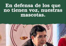 En defensa de los que no tienen voz, nuestras mascotas.