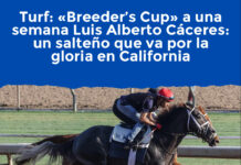 Turf: «Breeder’s Cup» a una semana Luis Alberto Cáceres, un salteño que va por la gloria en California
