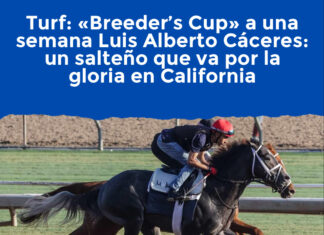 Turf: «Breeder’s Cup» a una semana Luis Alberto Cáceres, un salteño que va por la gloria en California