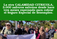 La otra CALAMIDAD CITRICOLA, 3.000 zafreros salteños desde hace tres meses esperando para cobrar el Seguro Especial de desempleo.