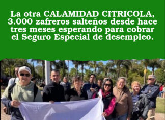 La otra CALAMIDAD CITRICOLA, 3.000 zafreros salteños desde hace tres meses esperando para cobrar el Seguro Especial de desempleo.