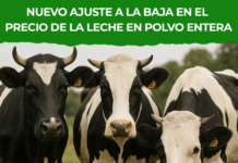 Lechería hoy: Nuevo ajuste a la baja en el precio de la leche en polvo entera.