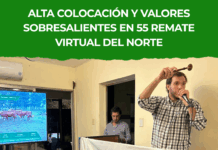 Alta colocación y valores sobresalientes en 55 Remate Virtual del Norte