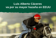 Turf; Breeders’ Cup y la histórica presencia de un salteño