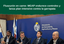 Fluazurón en carne: MGAP endurece controles y lanza plan intensivo contra la garrapata