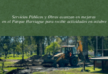 Servicios Públicos y Obras avanzan en mejoras en el Parque Harriague para recibir actividades en octubre
