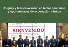 Uruguay y México avanzan en temas sanitarios y oportunidades de exportación cárnica