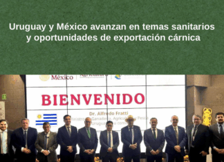 Uruguay y México avanzan en temas sanitarios y oportunidades de exportación cárnica