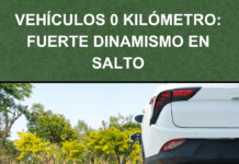 Fuerte dinamismo en Salto: Se empadronaron 429 vehículos en setiembre en sintonía con un mercado nacional récord
