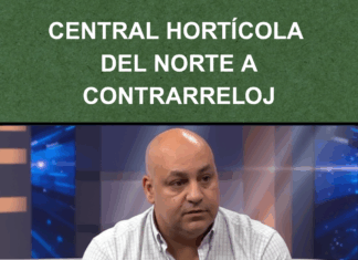 La Central Hortícola del Norte a contrarreloj