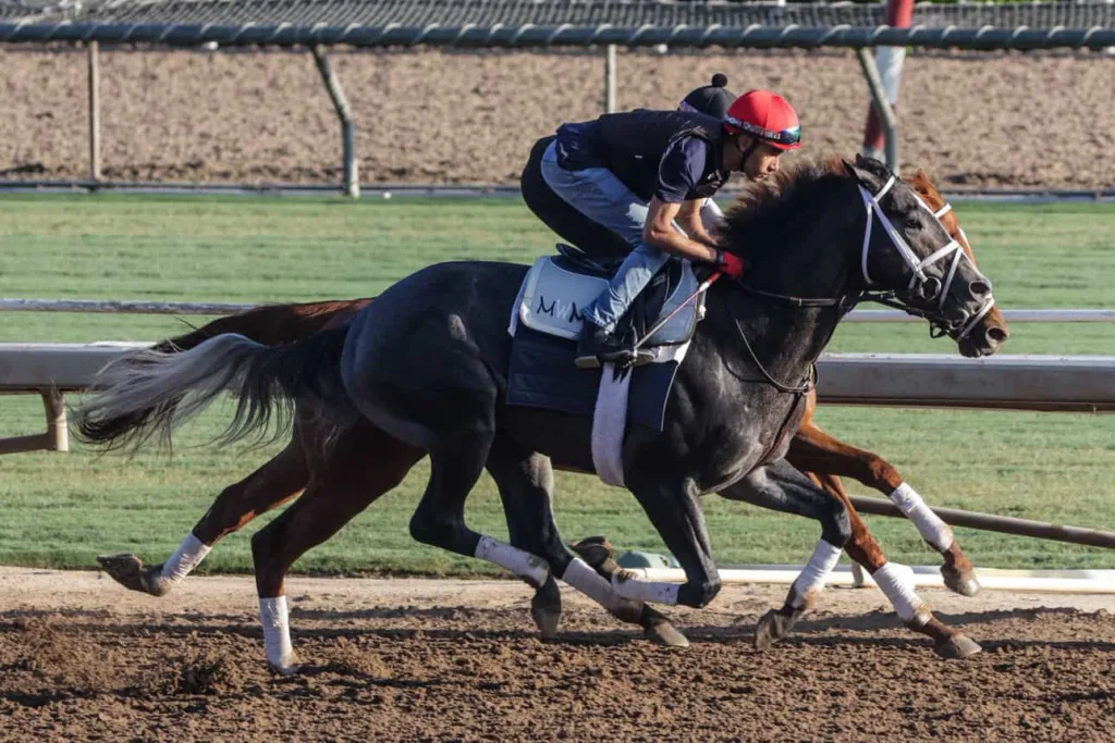 Alberto Cáceres: un salteño que va por la gloria en California
