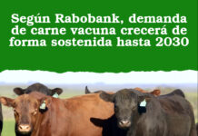 Según Rabobank, demanda de carne vacuna crecerá de forma sostenida hasta 2030