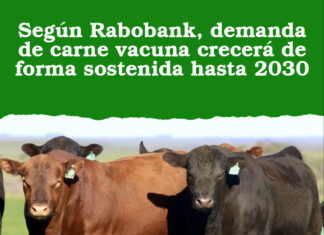 Según Rabobank, demanda de carne vacuna crecerá de forma sostenida hasta 2030